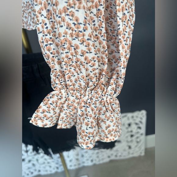 Polly - Picture 4 of 8